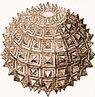 Museo di Storia delle Scienze
